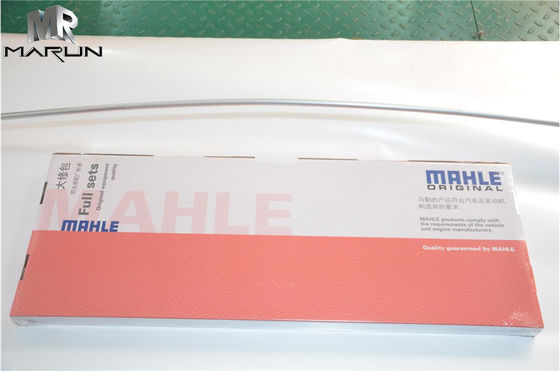 1878123160 Mahle Overhaul Kits